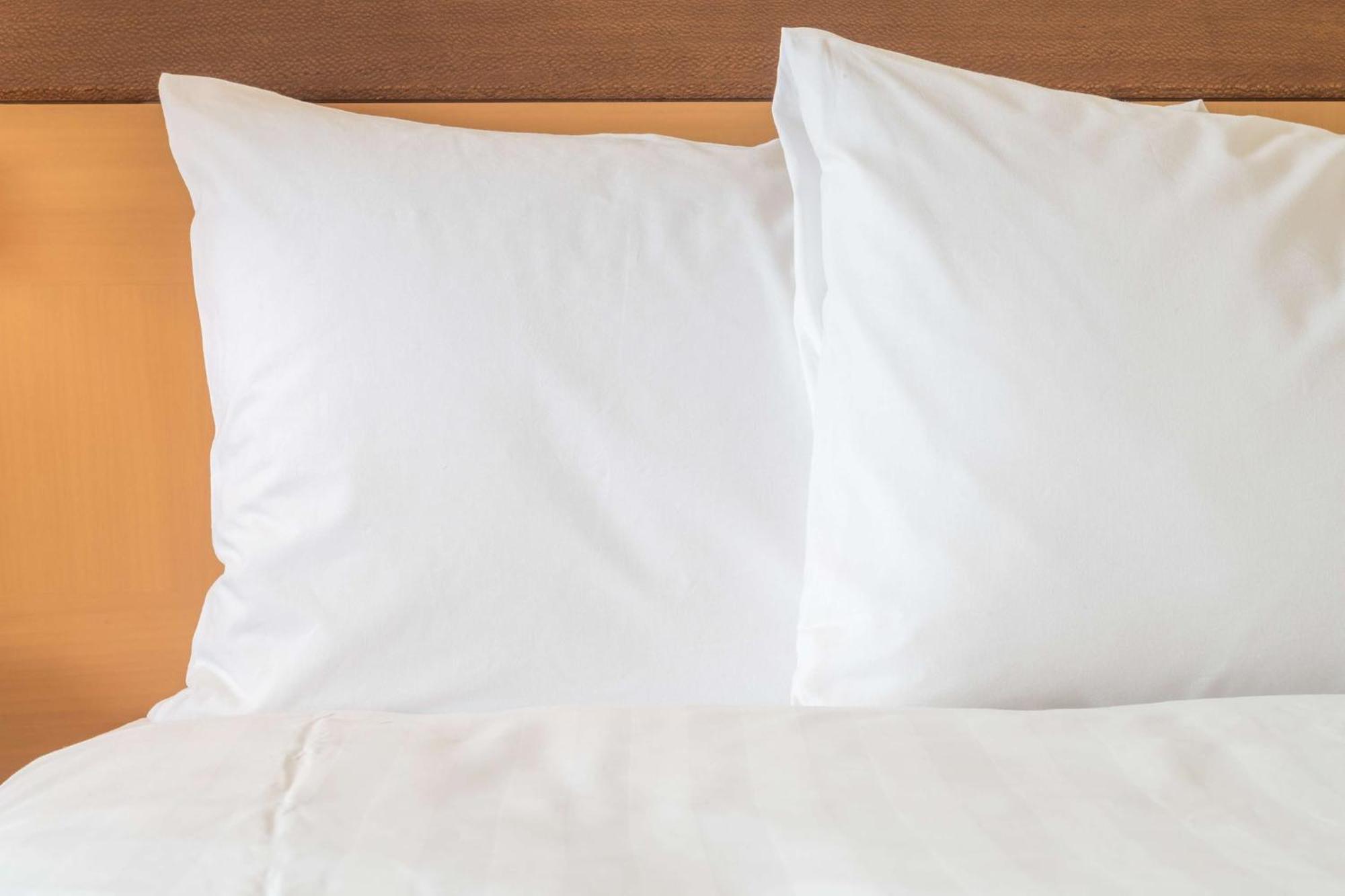 Holiday Inn Chicago O'Hare - Rosemont By Ihg Exteriör bild